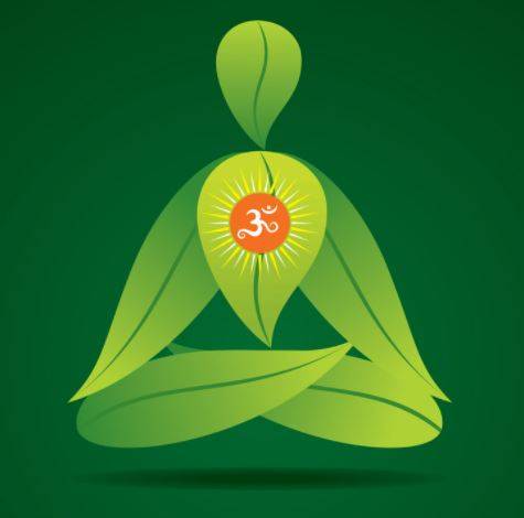 International Yoga day